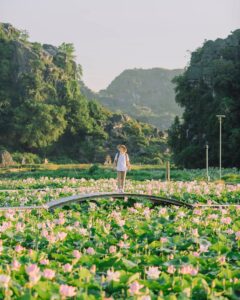 Tháng 9 Nên Đi Du Lịch Ở Đâu ? Top 5 Địa Điểm Trong Nước Nên Đến 6 Ninh binh com moc lam