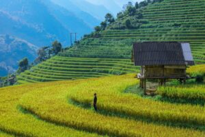 Tháng 9 Nên Đi Du Lịch Ở Đâu ? Top 5 Địa Điểm Trong Nước Nên Đến 3 sapa com moc lam