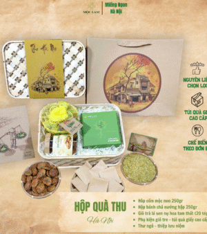 hop qua ha noi 11