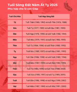 tuoi song dat nam at ty 2025 com moc lam