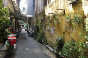 pho cong duc