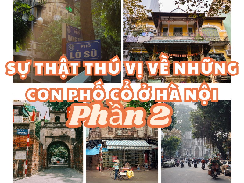 su that thu vi ve nhung con pho co phan 2