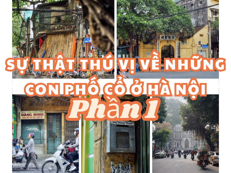 su that thu vi ve nhung con pho co phan1