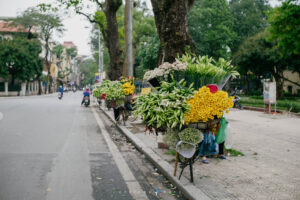 hoa loa ken