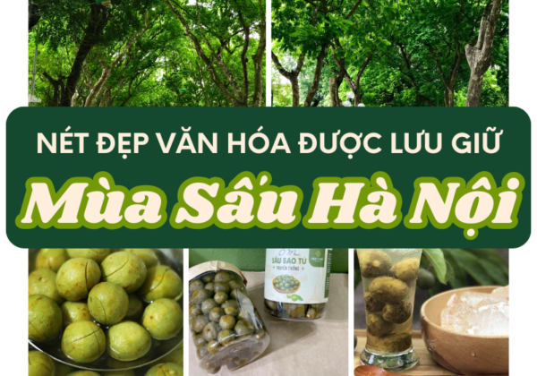 mùa sấu hà nội